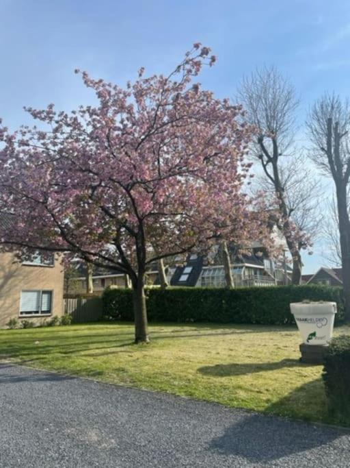 Holidayhome Zonnestraal 9P Amsterdam And The Beach Heerhugowaard Luaran gambar